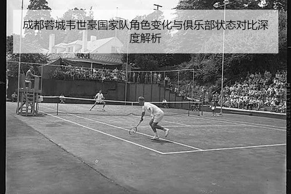 成都蓉城韦世豪国家队角色变化与俱乐部状态对比深度解析